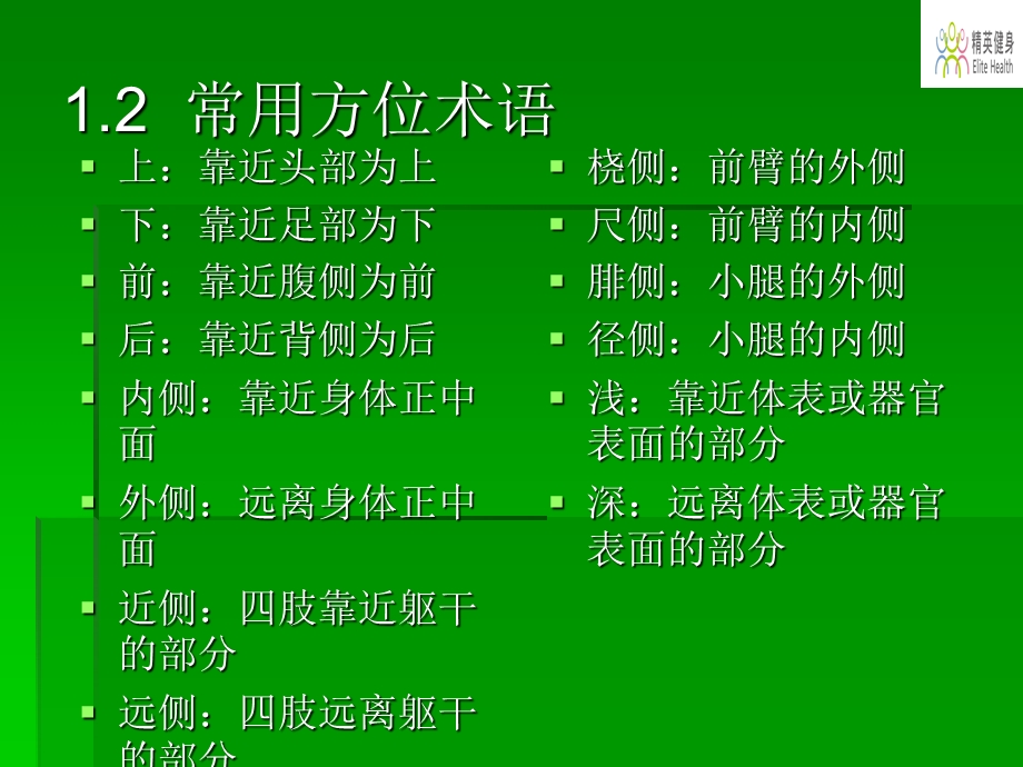 健身知识(肌肉解剖).ppt_第3页