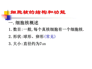 细胞核的结构和功能1.ppt