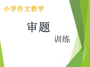 小学生作文审题训练.ppt