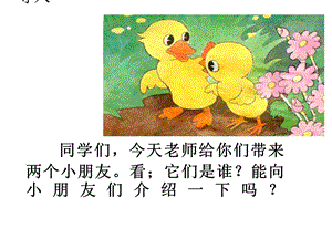 小公鸡和小鸭子教学课件.ppt