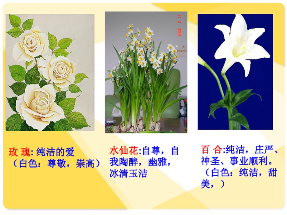 印出美丽的花瓶课件.ppt_第3页