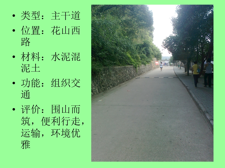 园路设计类型详解.ppt_第2页