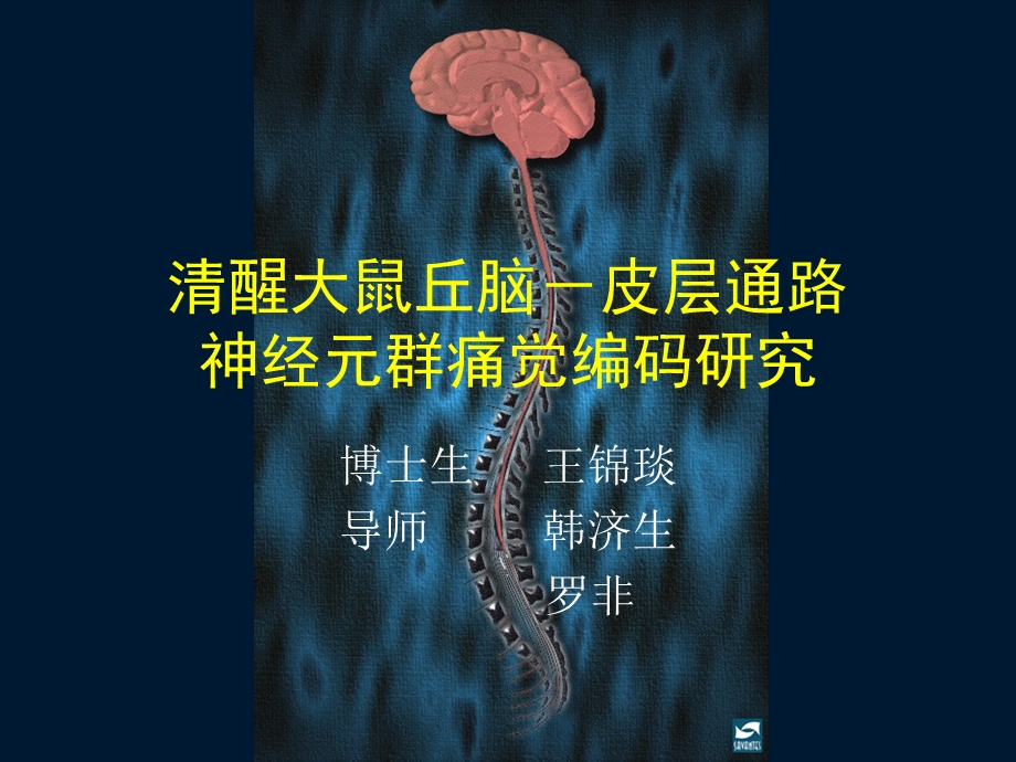 清醒大鼠丘脑皮层通路神经元群痛觉编码的初步研究 rev.ppt_第1页