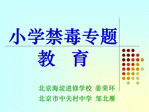 小学禁毒专题教育.ppt