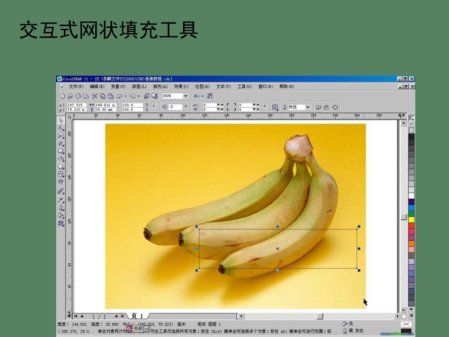 交互式网状填充工具.ppt_第1页