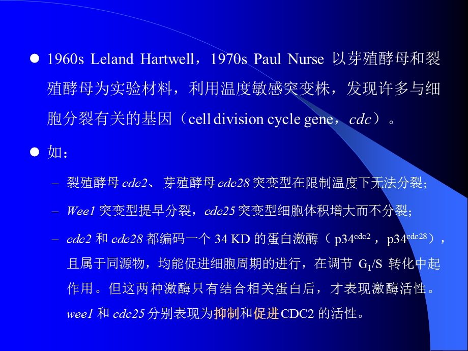 细胞增殖及其调控3.ppt_第2页