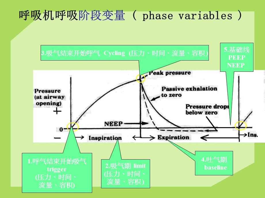 常见呼吸机模式及参数调节.ppt_第3页