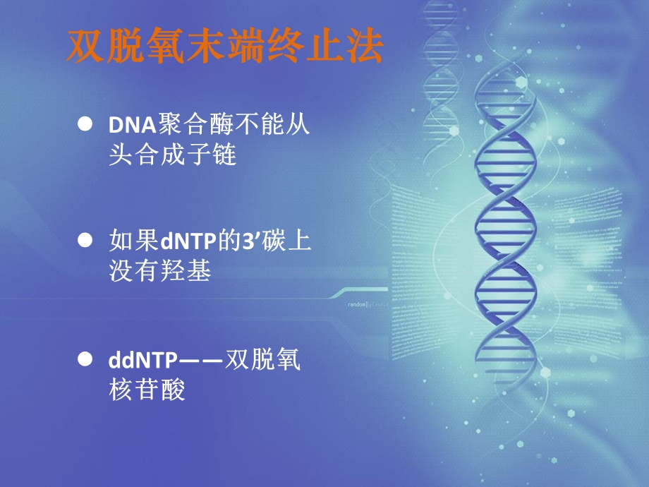 双脱氧链终止法测定DNA序列的原理与.ppt_第3页