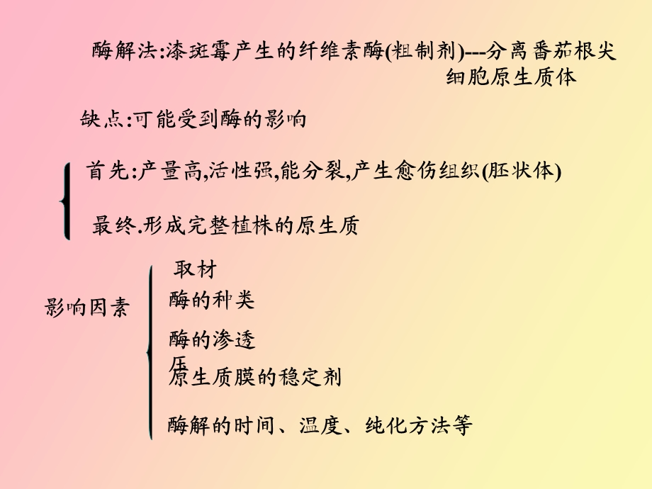 原生质体的分离和培养.ppt_第2页