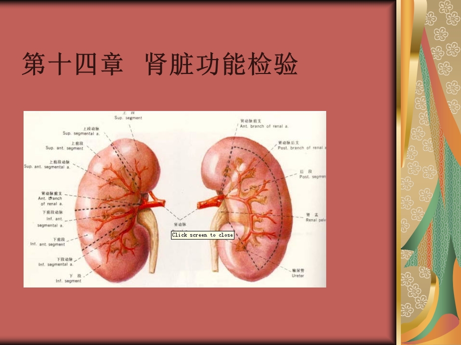 第十四肾脏功能检验.ppt_第1页