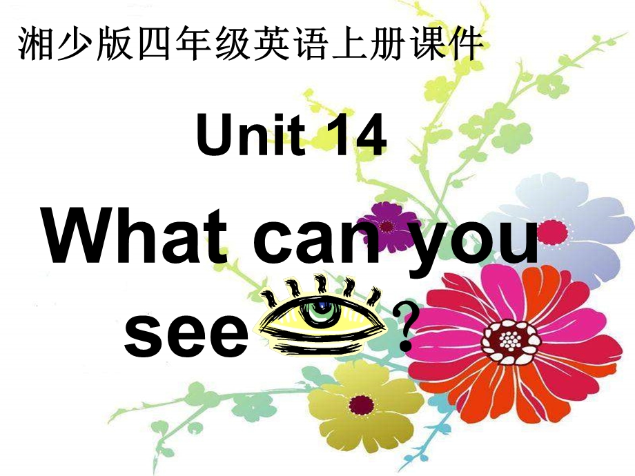 湘少版四上Unit14Whatcanyousee课件.ppt_第1页