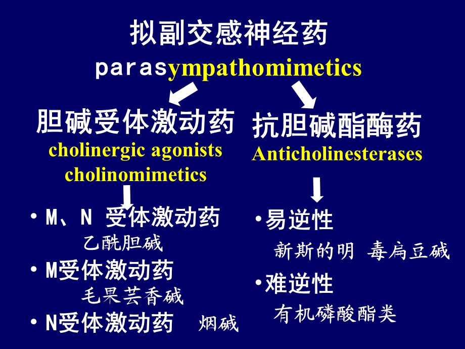 第十七部分拟副交感神经药parasympathomimetics.ppt_第2页