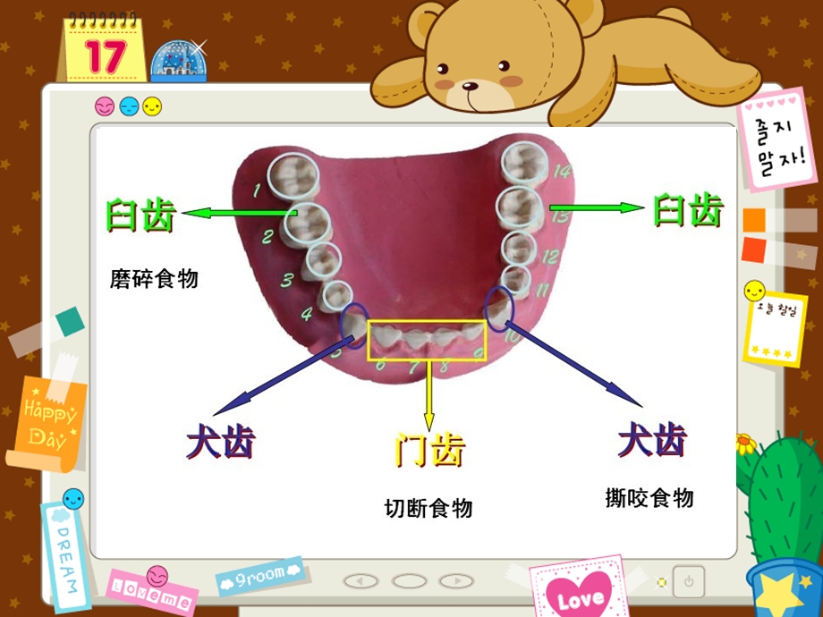 【小学课件】体育课室内课件(健康教育—爱护我们的牙齿).ppt_第3页