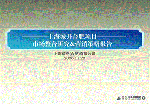 PPT精品荒岛上海城开合肥项目市场整合研究营销策略报告203PPT5M.ppt