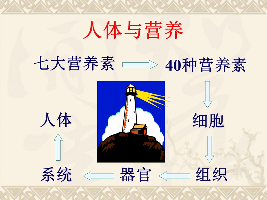 细胞营养学.ppt_第2页