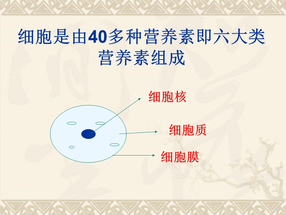 细胞营养学.ppt_第3页