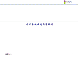 呼吸系统疾病药学培训.ppt