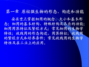 原核微生物的形态、构造和功能要求重点掌握细菌的概念.ppt