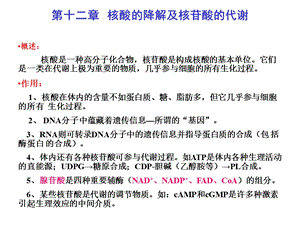 第十二章核酸的降解及核苷酸的代谢概述核酸是一种高分.ppt