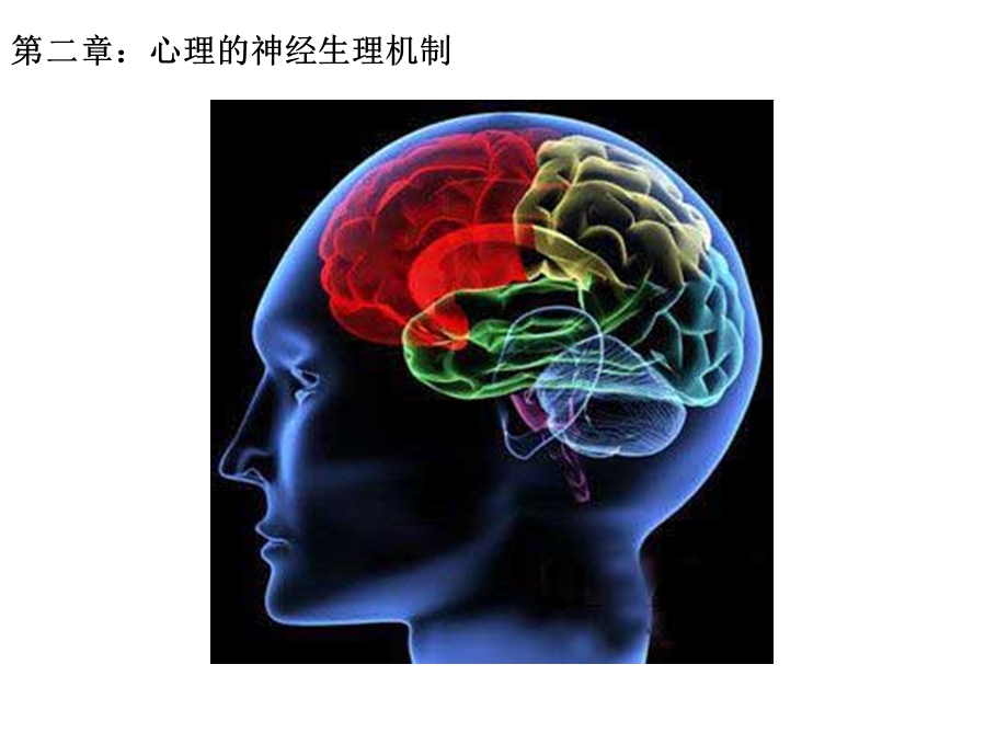 普通心理学心理的神经生理机制.ppt_第1页