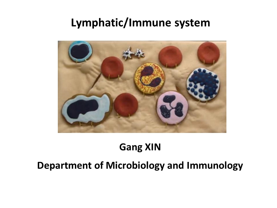 医学英语医英immunesystem.ppt_第1页