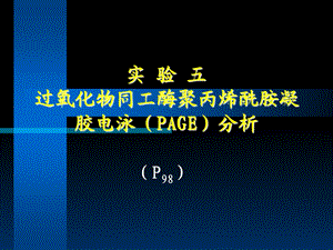 实验五过氧化物同工酶PAGE分析.ppt