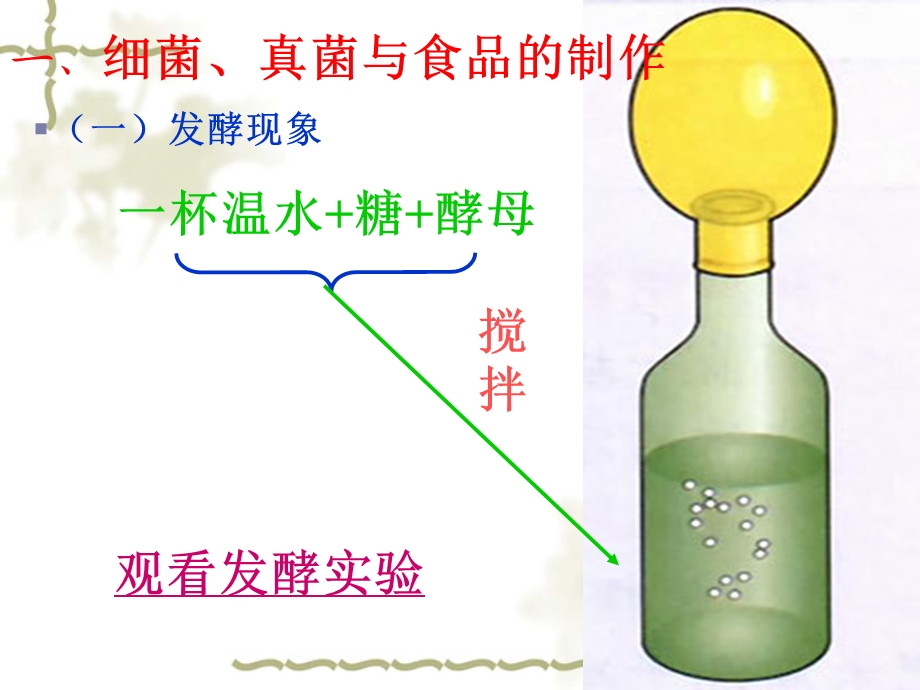 人类对细菌和真菌的利用.ppt_第3页