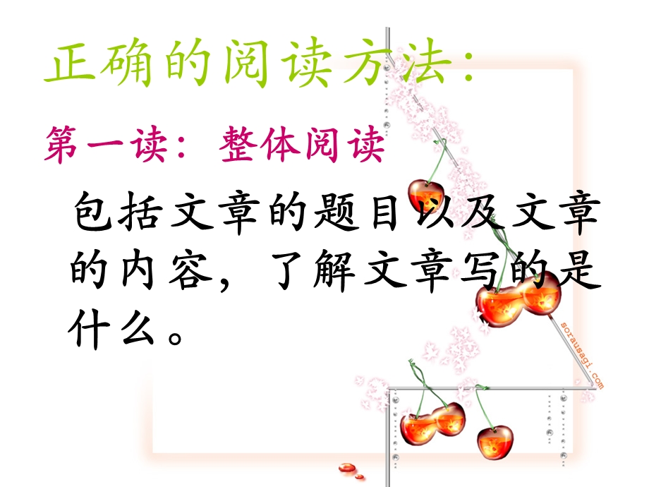 小学语文阅读指导课PPT课件.ppt_第3页