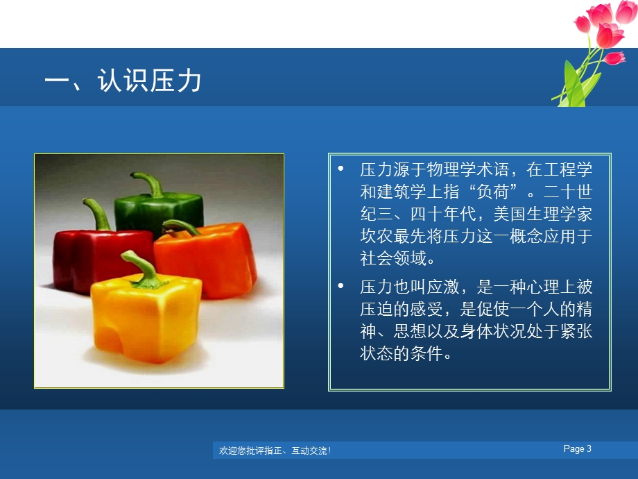 压力管理个人精心制作.ppt_第3页