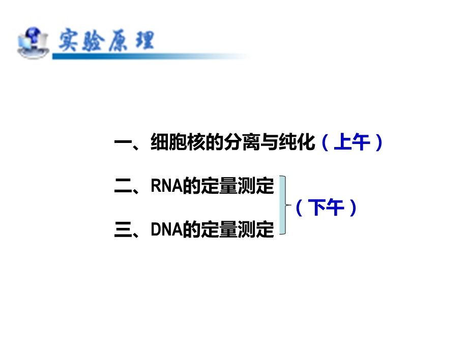 细胞核的分离与纯化及RNA、DNA的定量测定1201.ppt_第3页