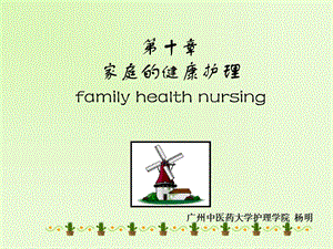 第十章家庭的健康护理familyhealthnursing.ppt