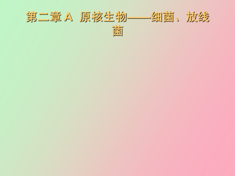 原核生物细菌.ppt_第1页