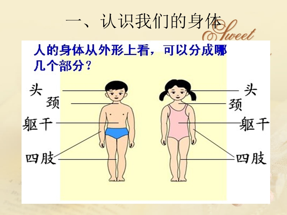 小学生生理卫生班会.ppt_第2页