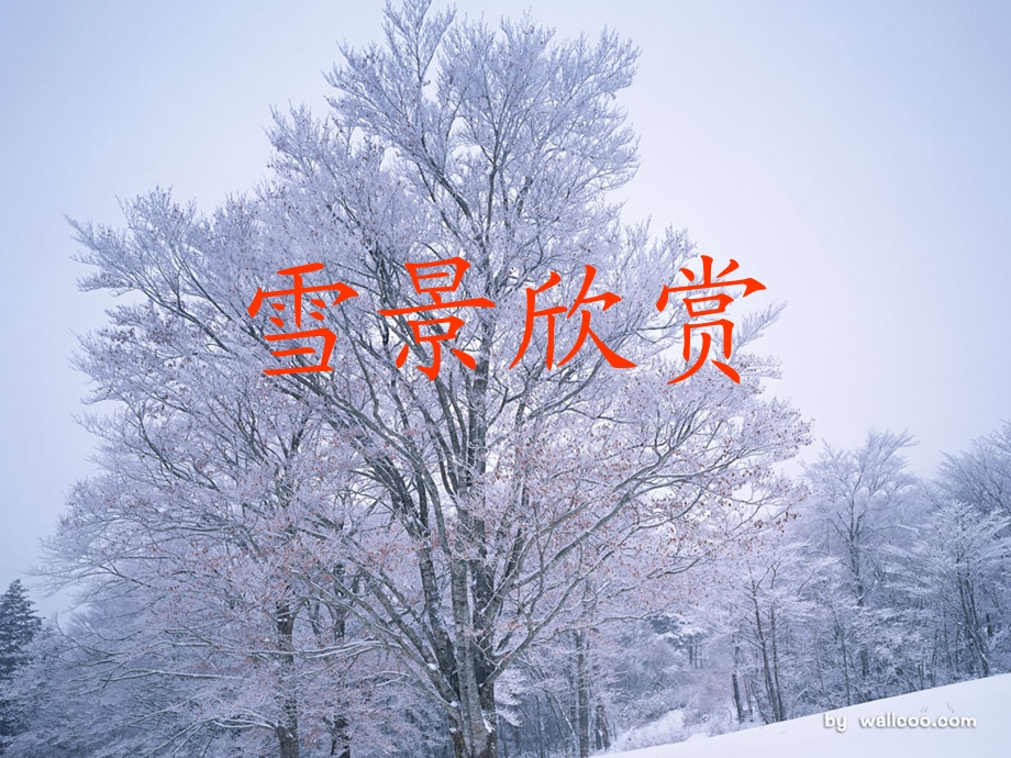 写雪的作文指导ppt课件.ppt_第1页