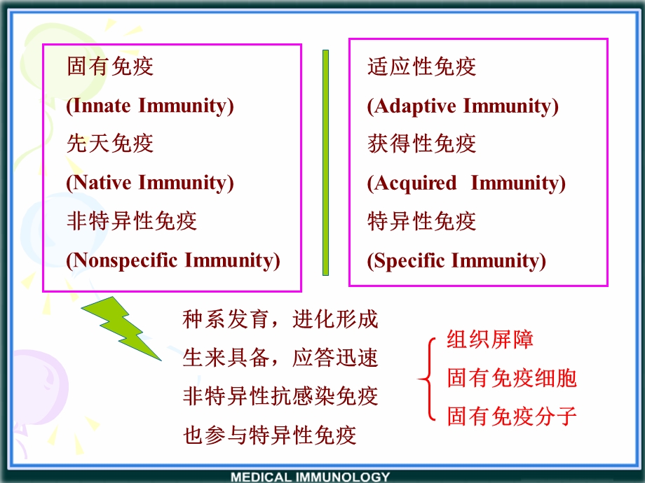 医学免疫学第十四章固有免疫系统及其应答.ppt_第2页