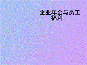 员工企业年金与福利.ppt