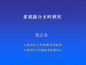 医学ppt分水岭脑梗塞.ppt