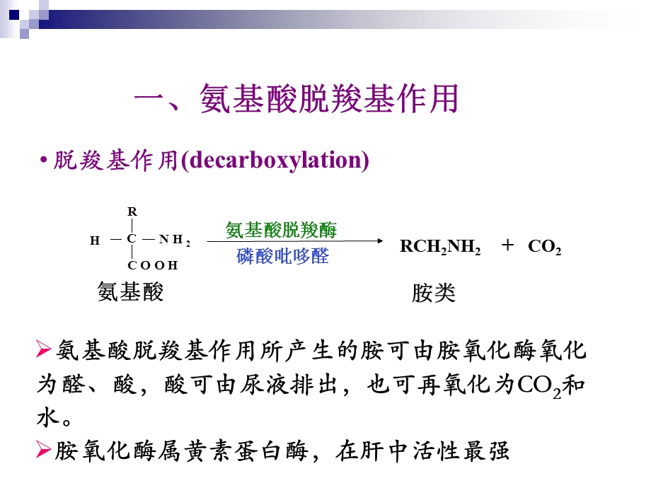 氨基酸代谢3.ppt_第3页