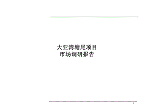 【地产策划PPT】惠州大亚湾塘尾项目市场调研报告80页.ppt