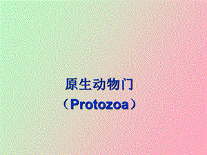 原生动物门、海绵Protozoa.ppt