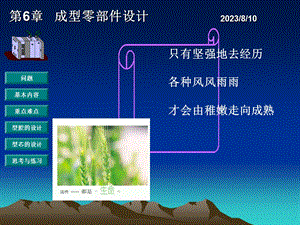 只有坚强地去经历各种风风雨雨才会由稚嫩走向成熟.ppt