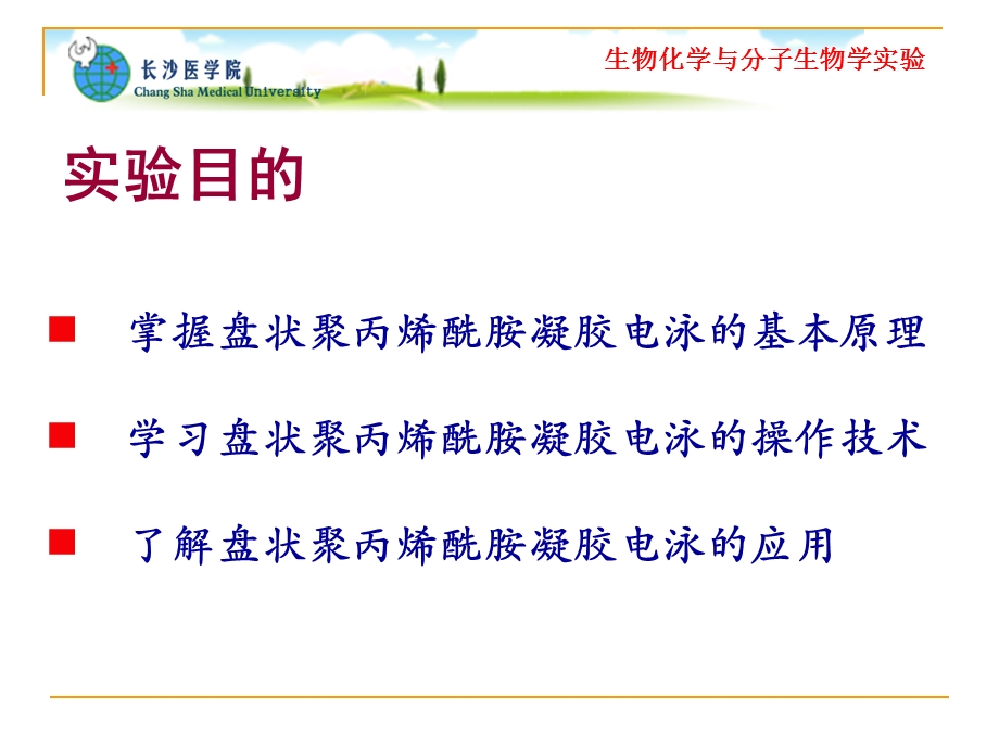 实验三聚丙烯酰胺凝胶电泳分离血清蛋白质.ppt_第2页