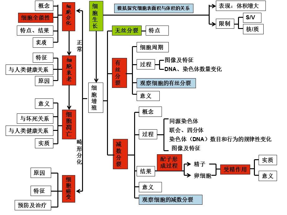 细胞的生命历程和遗传的细胞学基础(赵老师).ppt_第1页