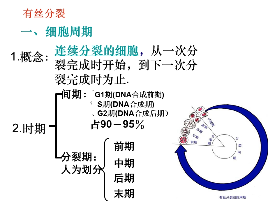 细胞的生命历程和遗传的细胞学基础(赵老师).ppt_第3页