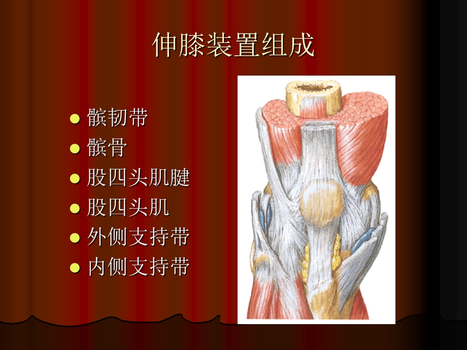 伸膝装置挛缩的微创治疗.ppt_第2页