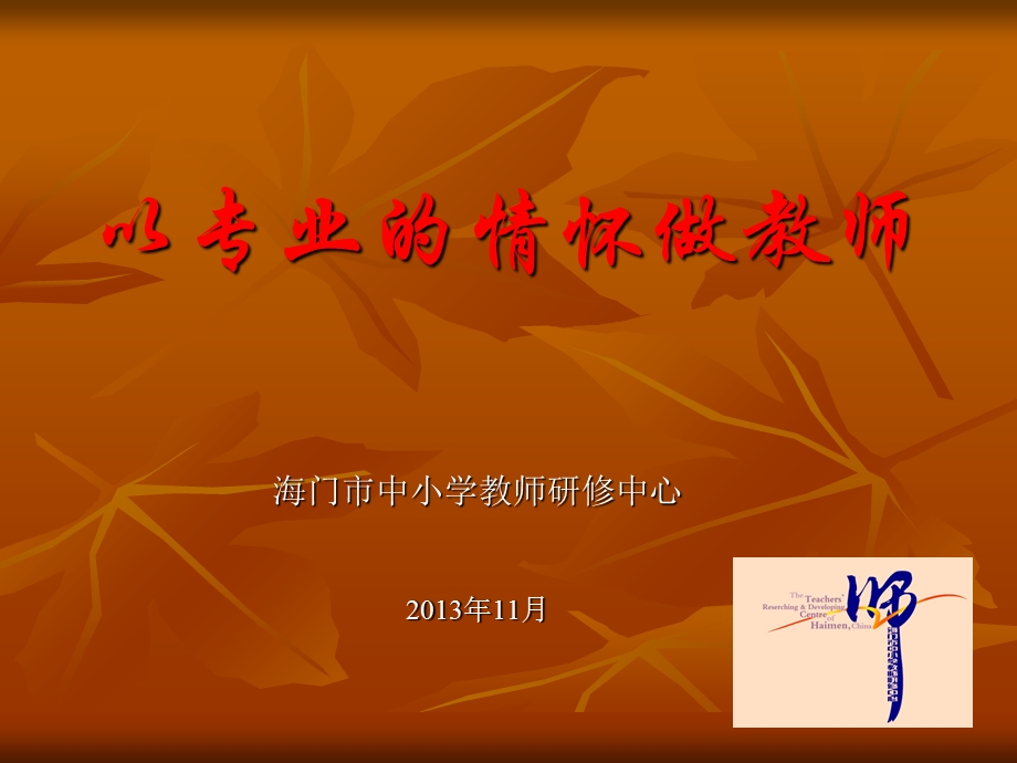 以专业的情怀做教师.ppt_第1页