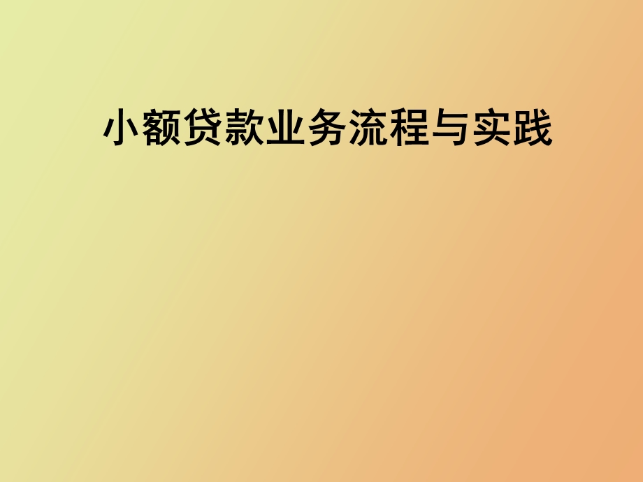 小额贷款业务流程与实践.ppt_第1页