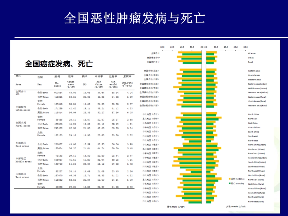 卡培他滨在结直肠癌治疗中的临床应用.ppt_第3页