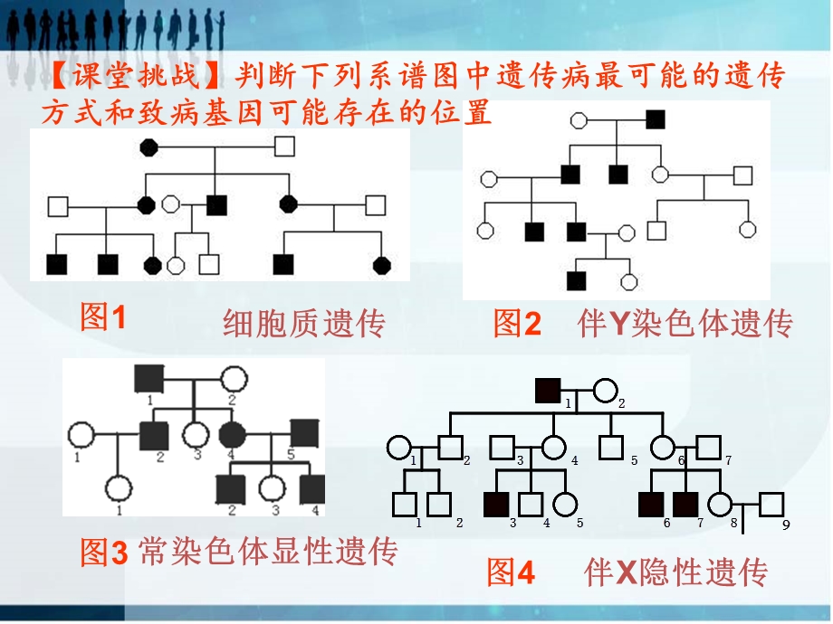 基因的定位实验设计.ppt_第3页