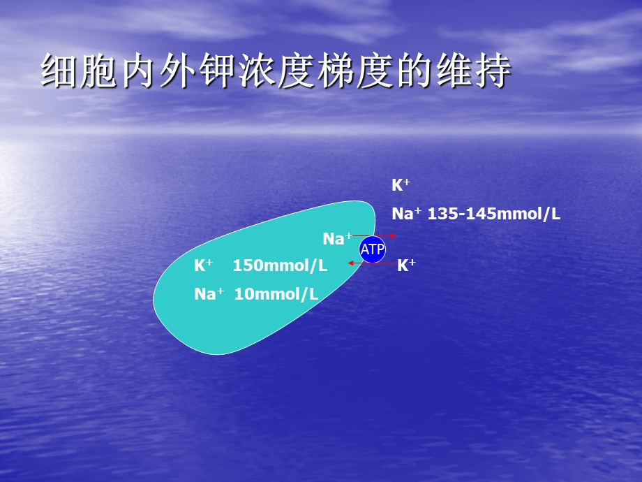 低钾血症的鉴别诊断.ppt_第3页